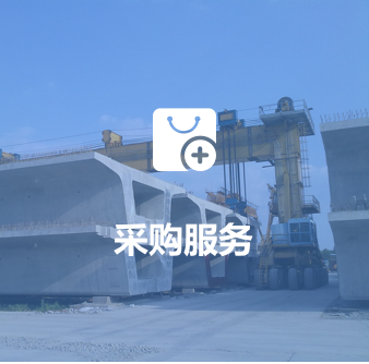 りょんさん 専用 中国铁路95306网